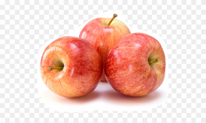 Apples - Gala Apple Clipart #3211250