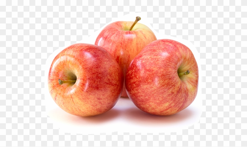 Apples - Gala Apple Clipart
