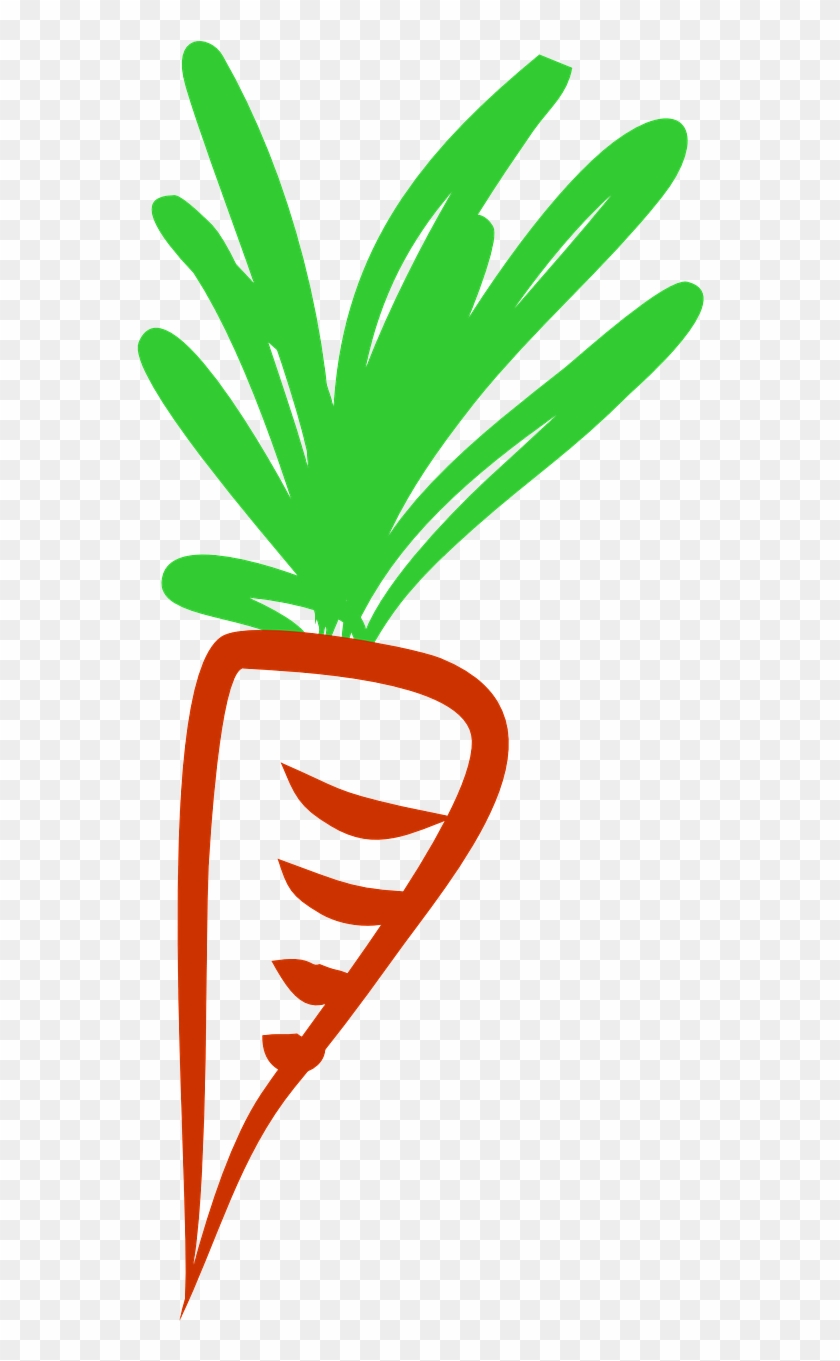 Carrots Health Vegetables Carrot Png Image - Warzywa Grafika Clipart #3211511
