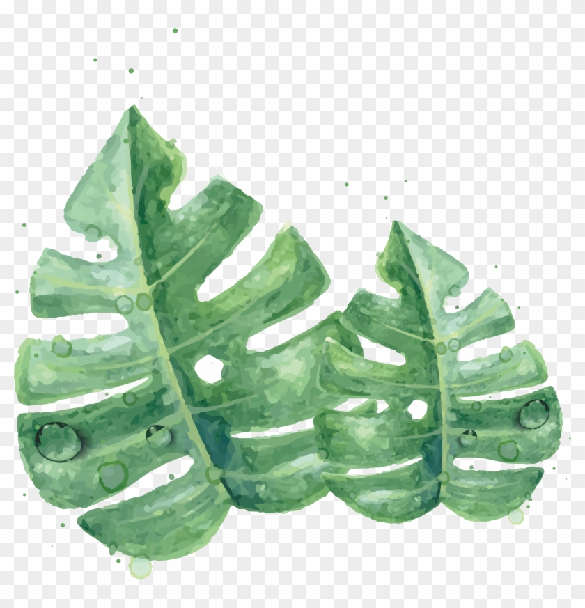 Leaf Leaves Watercolor Green Skin Painting Clipart - Watercolor Green Leaf Png Transparent Png