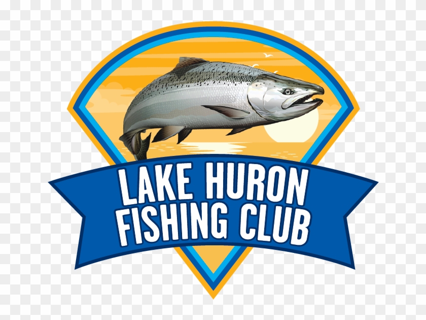 Salmon Clipart #3212085