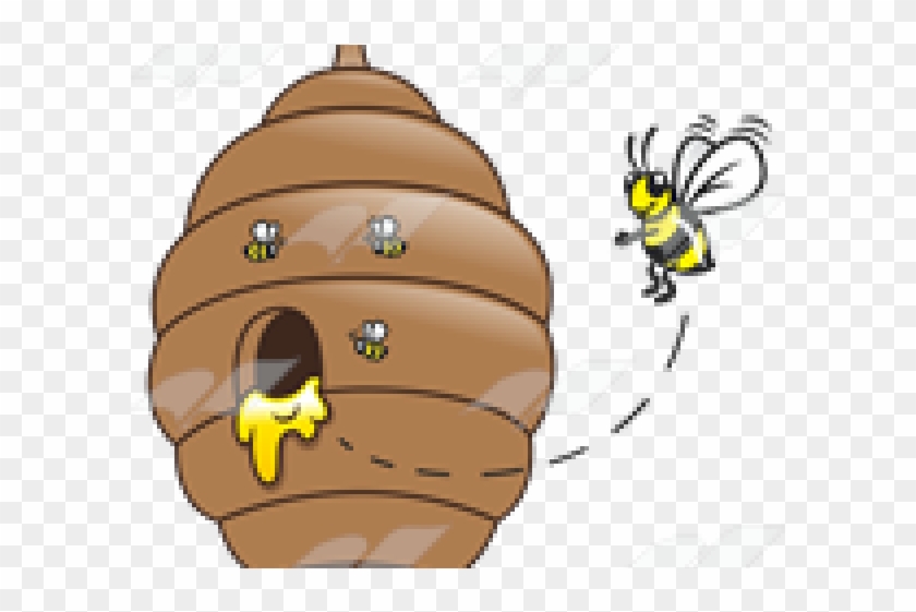 Honey Clipart Bee Beehive - Pesisir Selatan Regency - Png Download #3213513