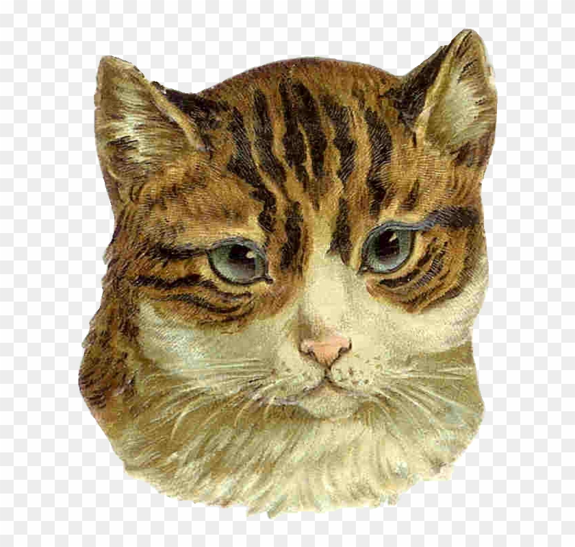 Cat Clip Art Vintage - Cat - Png Download