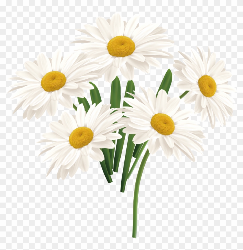 Flower Common Daisy - White Sun Flower Png Clipart #3215102