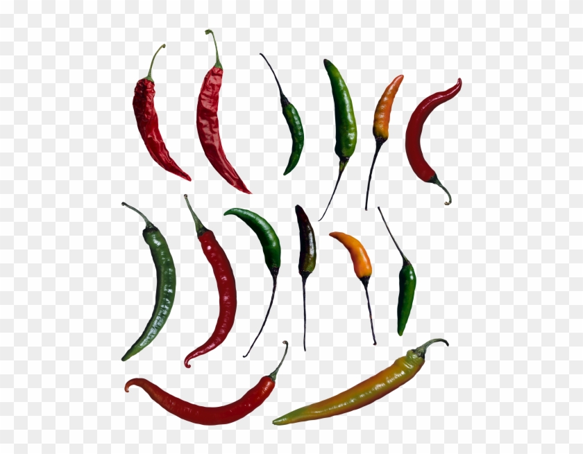 Download High Resolution Png Clipart