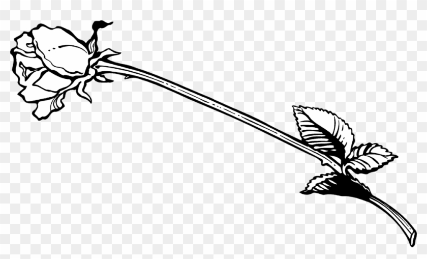 Stem Drawing Outline - Long Stem Rose Clip Art - Png Download
