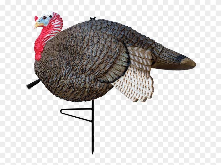 Gobbstopper Jake - Primos Gobbstopper Combo Clipart #3218362