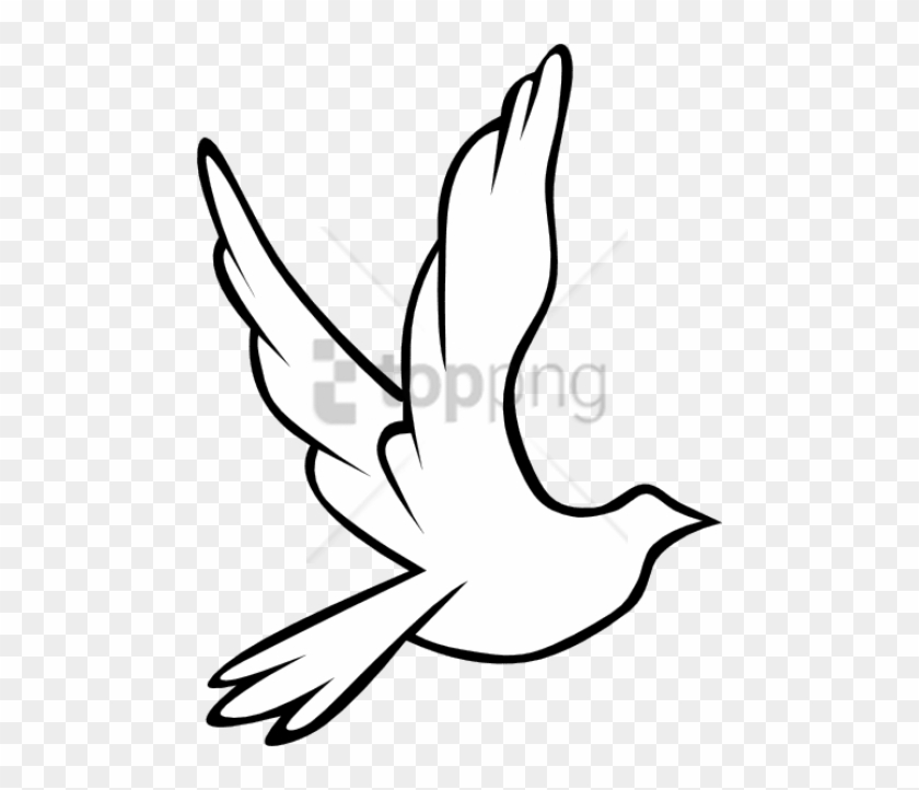 Download Png - Transparent Background Dove Clipart