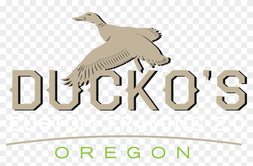 Design - Illustration Clipart