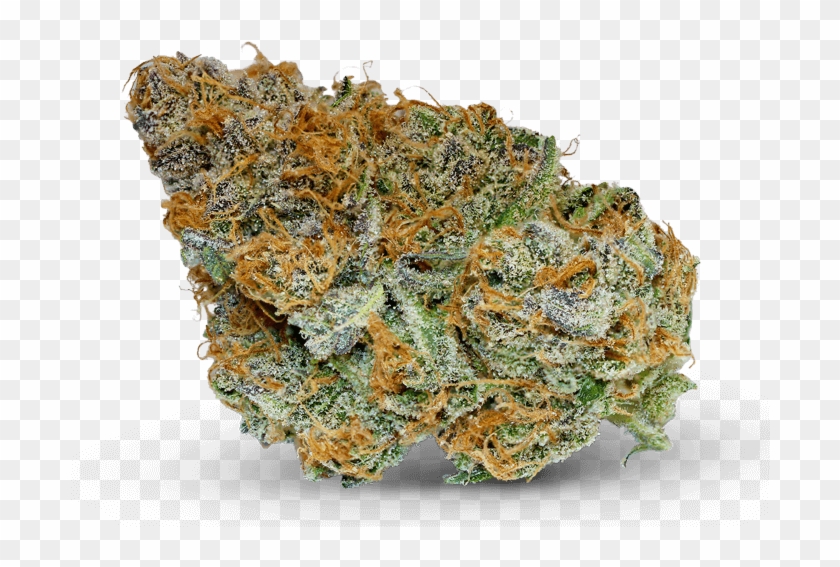 Jilly Bean - Igneous Rock Clipart #3219837