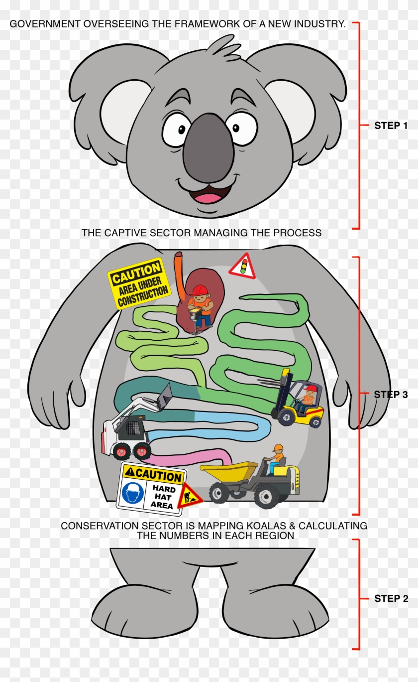 To Ensure The Koala Can Thrive Into The 21st Century, - Cartoon Clipart #3220300