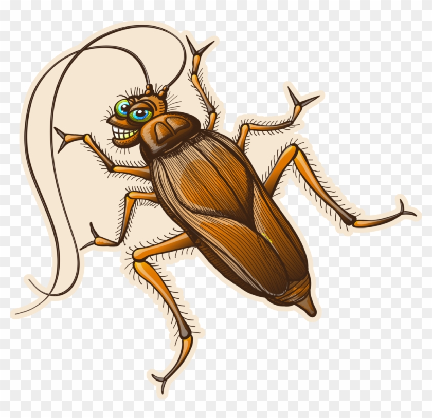 Cockroach Drawing Insect - Sexy Cockroach Clipart #3220602