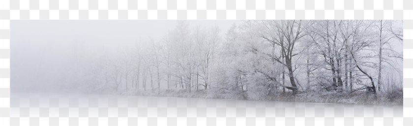 Fallen Snow Can Be Blinding, Especially When The Sun - Snow Clipart #3220738