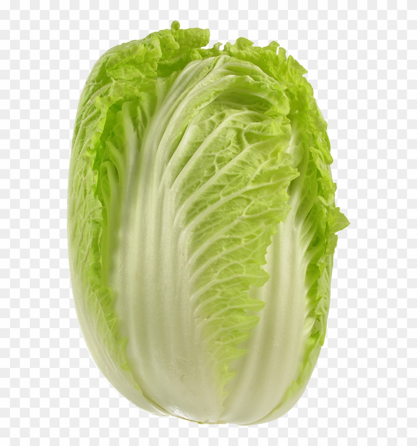 Cabbage Png Picture - Napa Vegetable Clipart