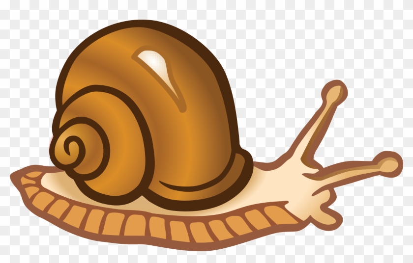Snail Image - Clipart Picture Of Snail - Png Download