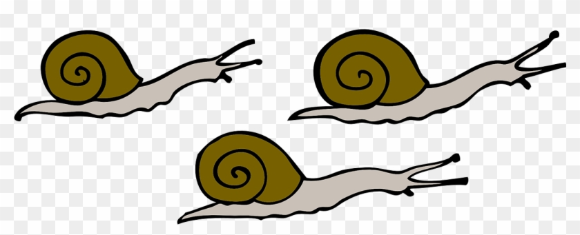 Movement Snails Moving Free Vector Graphic On - Snails Clipart - Png Download
