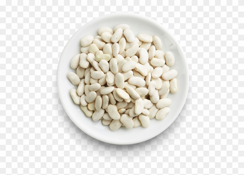 Cannellini Beans - Pebble Clipart