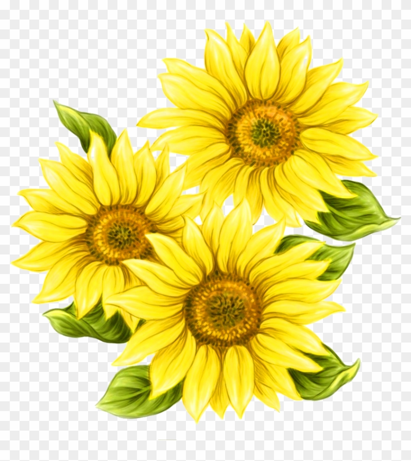 Sunflowers Png Painted - Watercolor Sunflower Png Clipart #3224908