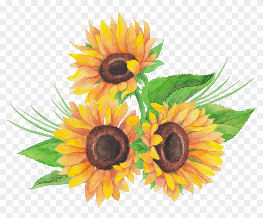 Sunflowers Png Dead - Sunflower Clipart #3224996