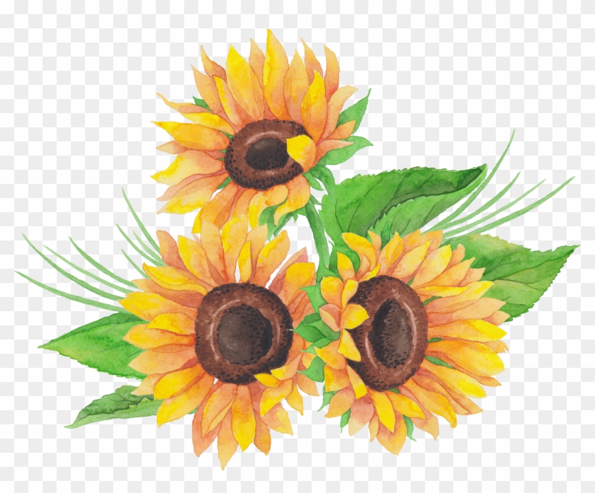 Sunflowers Png Dead - Sunflower Clipart
