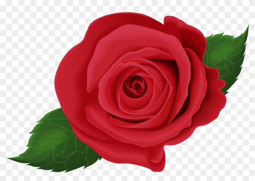 View Full Size - Red Rose With Leaf Clipart