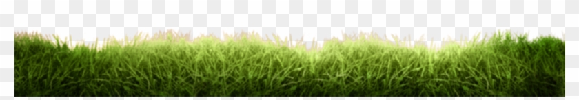 Grass Floor Png - Field Clipart #3226844