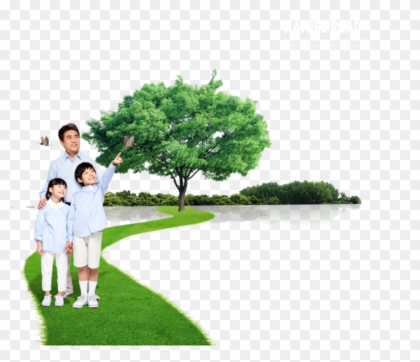 Lawn Vector Tree Grass - Nature Family Free Psd Clipart #3227899