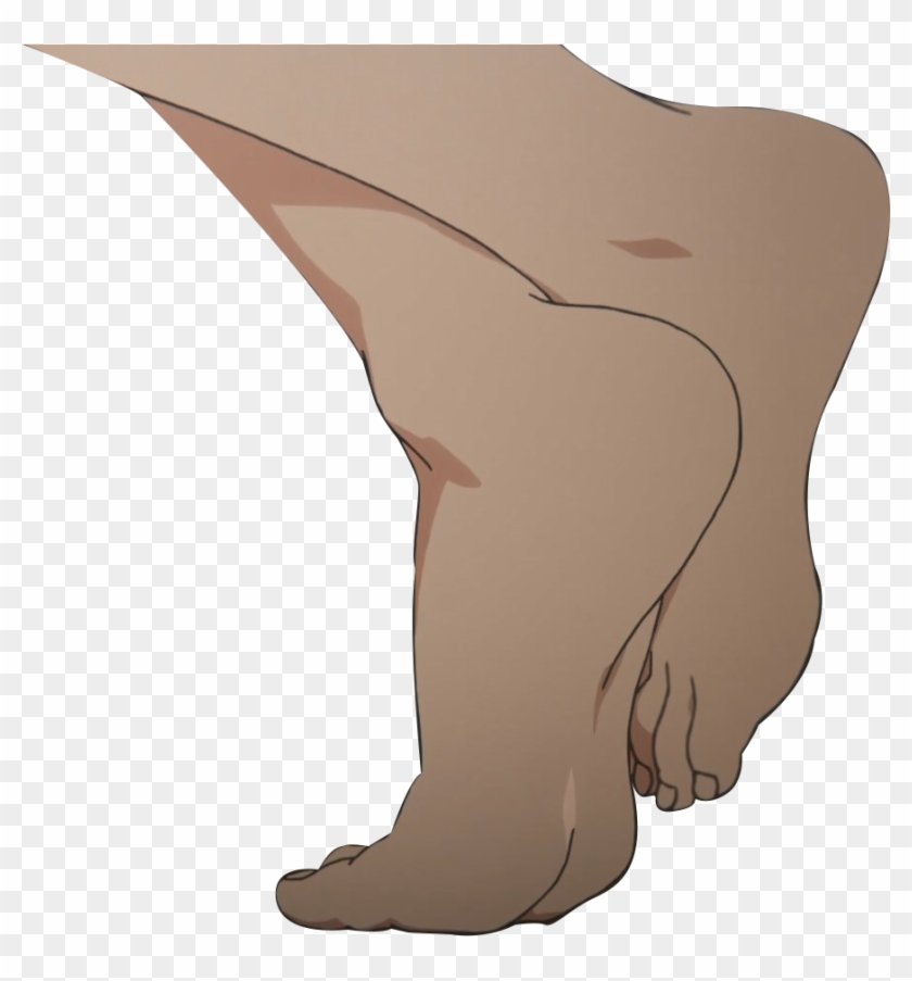 View Feet , - California Sea Lion Clipart