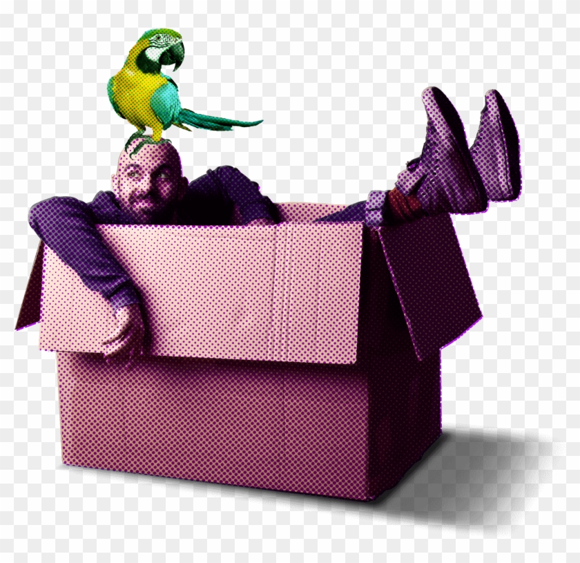 Content Capture - Macaw Clipart