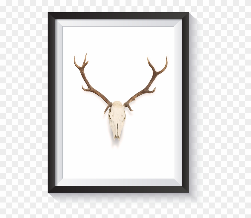 Antlers Watercolor Png Free - Skull Clipart #3234737