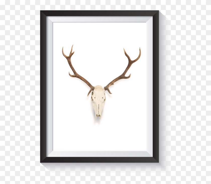 Antlers Watercolor Png Free - Skull Clipart