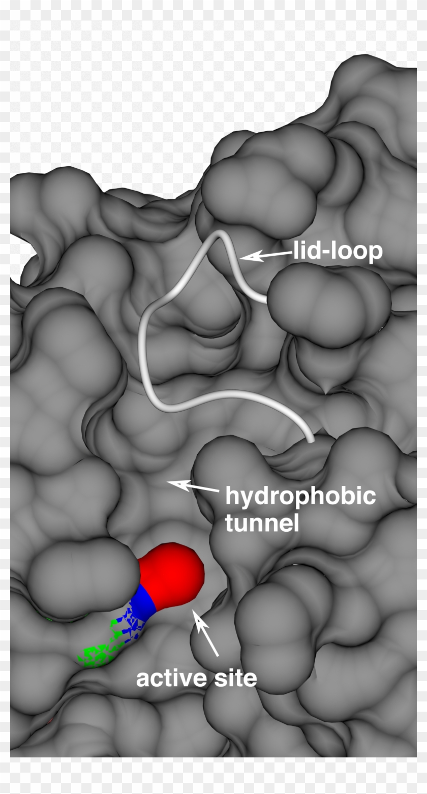 Apt Tunnel - Deformed Babies Clipart #3234942