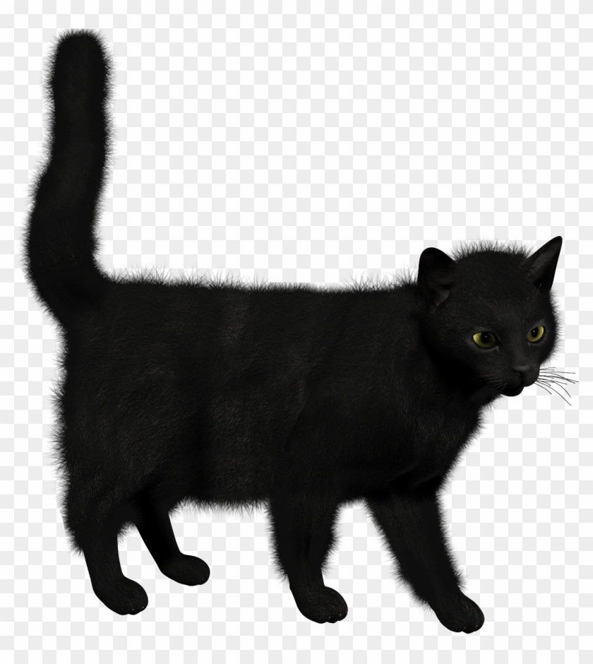 Черная Кошка На Прозрачном Фоне Clipart #3235255