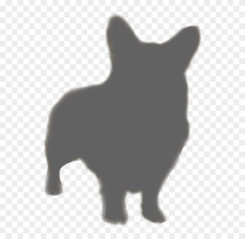 Celine Angelia Welsh Corgi - Schipperke Clipart