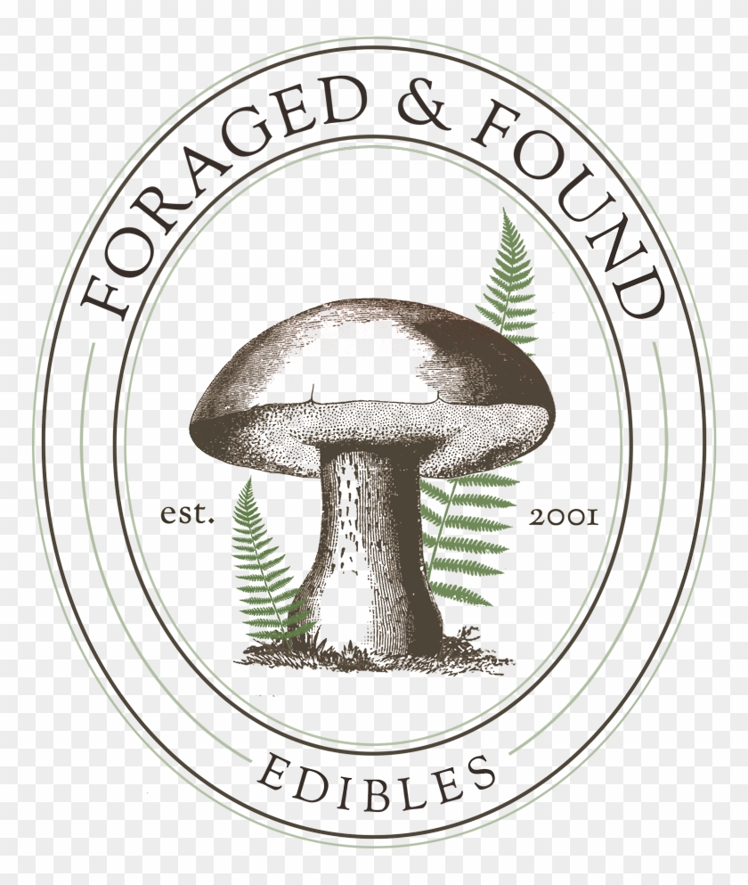 Dried Mushrooms Foraged Found Edibles - Edible Mushroom Drawing Clipart