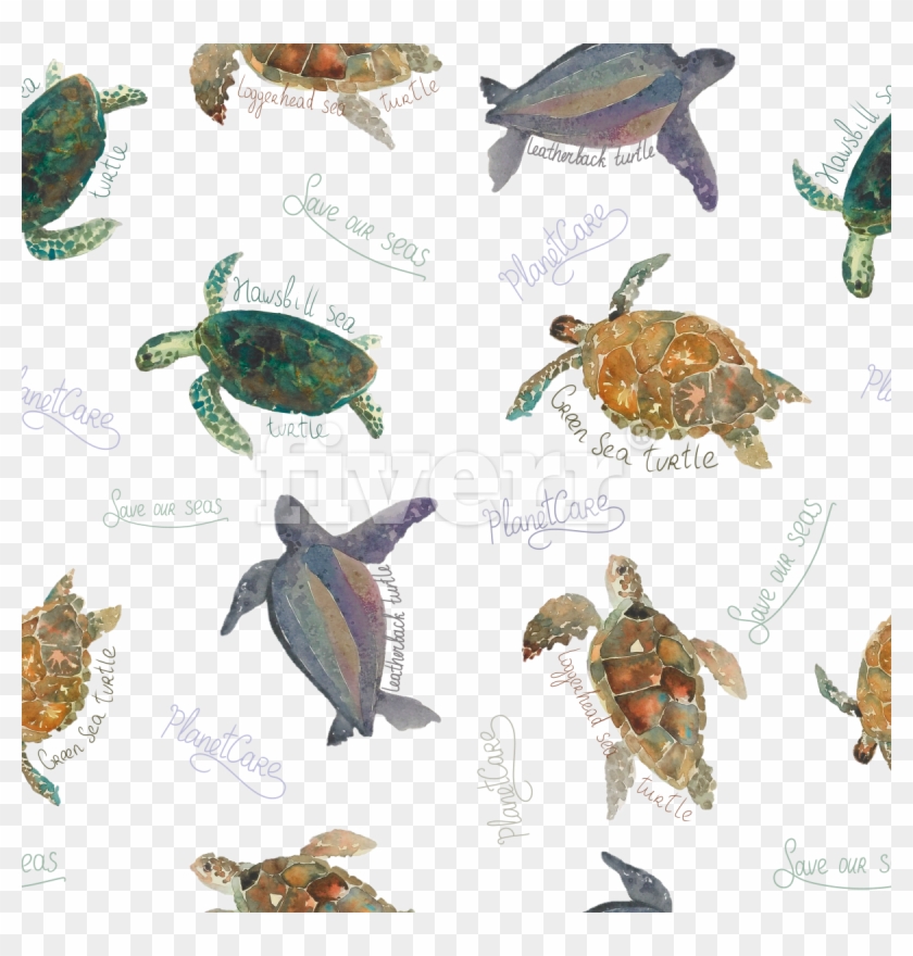 Hawksbill Sea Turtle , Png Download - Hawksbill Sea Turtle Clipart #3236414