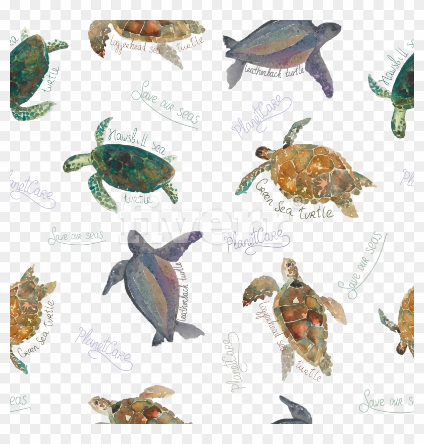 Hawksbill Sea Turtle , Png Download - Hawksbill Sea Turtle Clipart