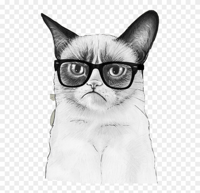 Grumpy Cat - Grumpy Cat Chemistry Clipart #3237513