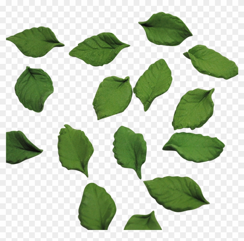 Mini Rose Leaves , Png Download - Portable Network Graphics Clipart #3237771