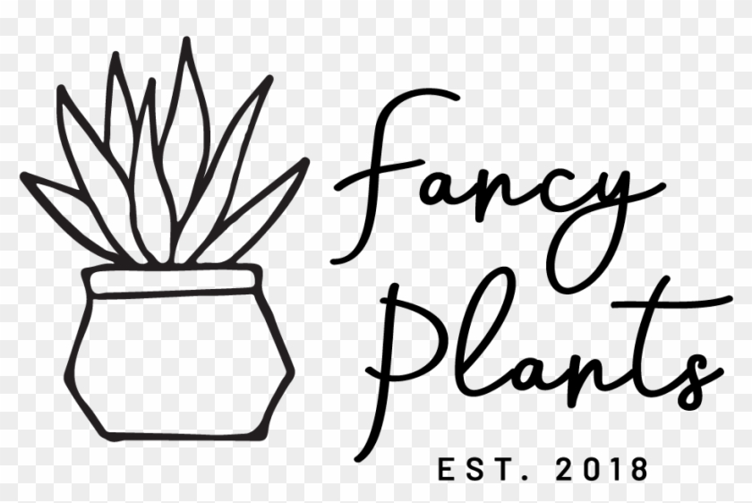 Founded By Suni Johnson, Fancy Plants Is A Small Town - Calligraphy Clipart #3237916