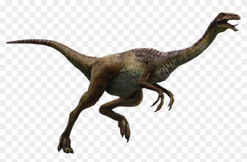 Jurassic World Dinosaurs, Jurassic Park World, Jurassic - Jurassic World Dinosaurs Gallimimus Clipart