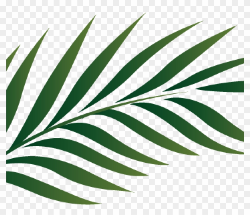 Palm Clipart Palm Branch Image Free Cliparts That You - Tropical Palm Leaves Png Transparent Png #3239385