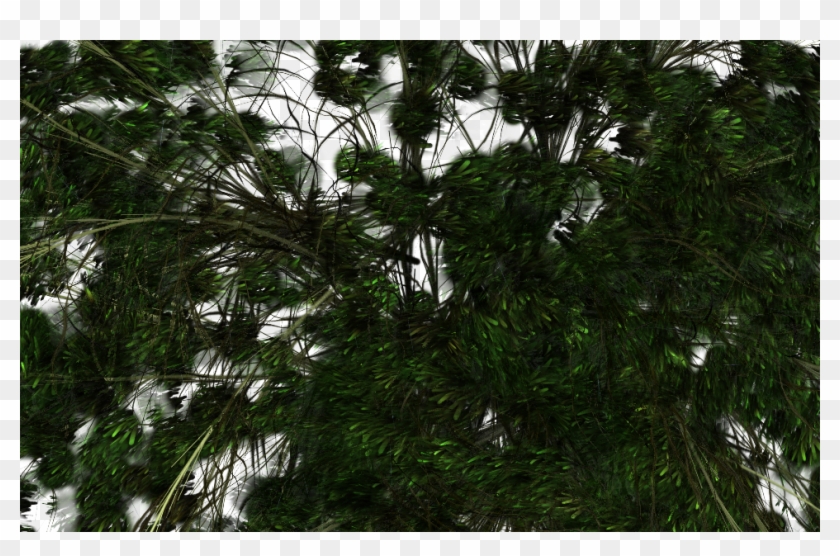 Flowers - Pond Pine Clipart