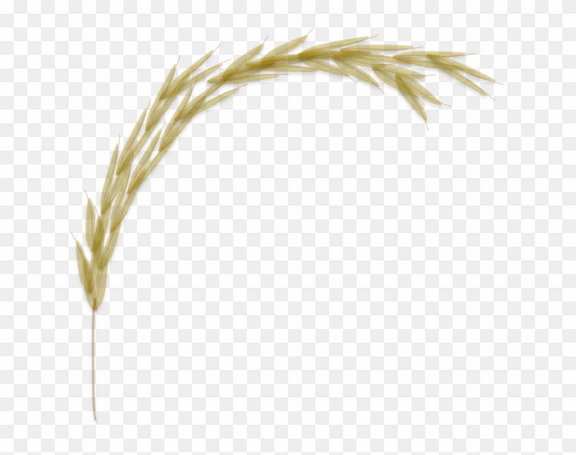 Your Browser Does Not Support Iframes Clipart