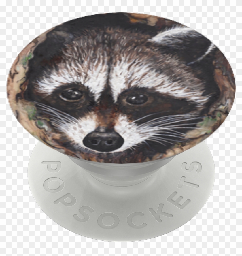Peek A Boo Raccoon, - Ferret Clipart