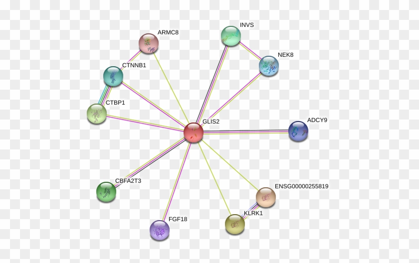 Circle Clipart #3241247