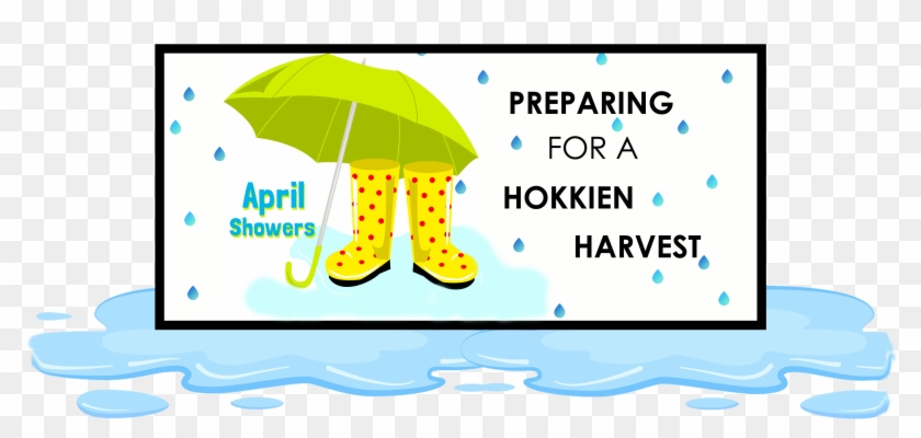 Final Title April And Puddle - Umbrella Clipart #3241887