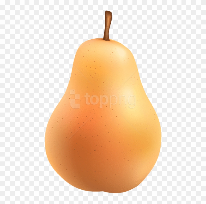 Free Png Pear Png - Asian Pear Clipart #3241928