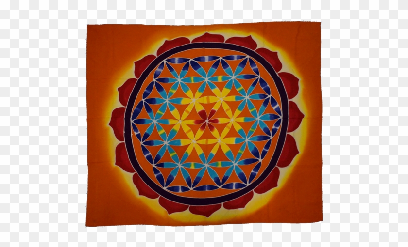 Circle Clipart #3242319