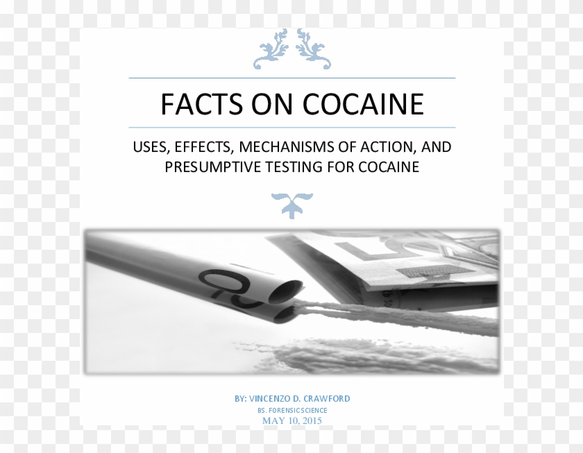 Pdf - Air Force Clipart